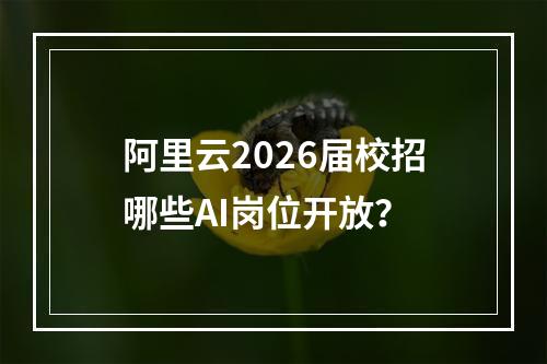 阿里云2026届校招哪些AI岗位开放？