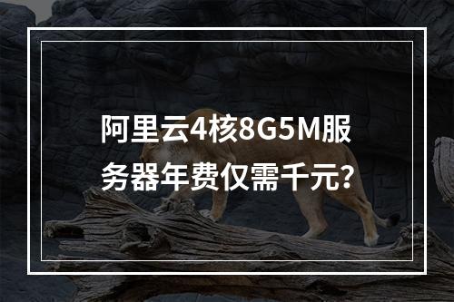 阿里云4核8G5M服务器年费仅需千元？