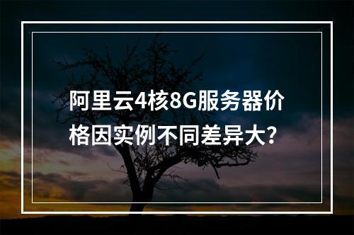 阿里云4核8G服务器价格因实例不同差异大？