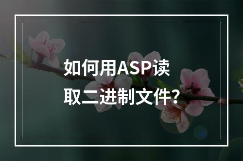 如何用ASP读取二进制文件?