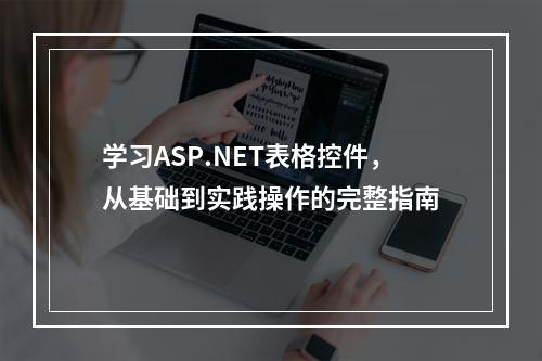 学习ASP.NET表格控件,从基础到实践操作的完整指南