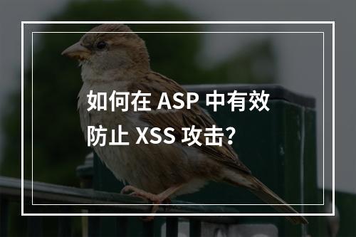 如何在 ASP 中有效防止 XSS 攻击?