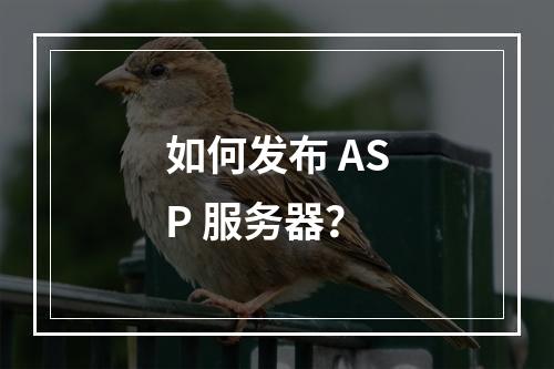 如何发布 ASP 服务器?
