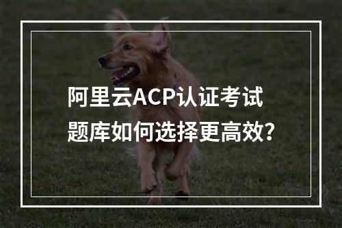 阿里云ACP认证考试题库如何选择更高效？