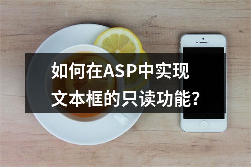 如何在ASP中实现文本框的只读功能?