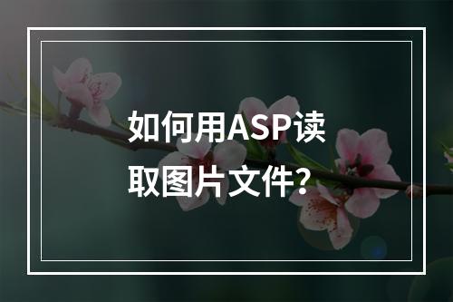 如何用ASP读取图片文件?