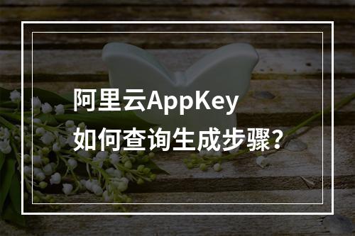 阿里云AppKey如何查询生成步骤？