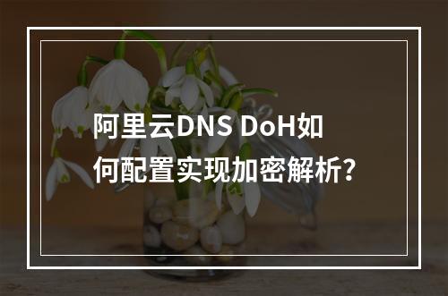 阿里云DNS DoH如何配置实现加密解析？