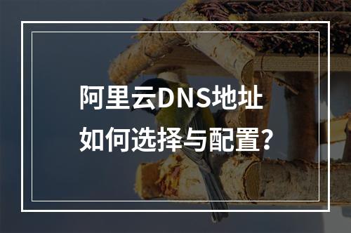 阿里云DNS地址如何选择与配置？