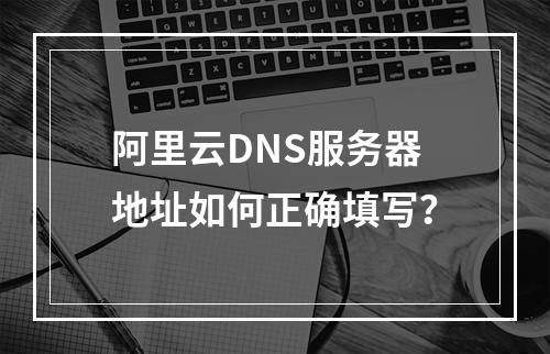 阿里云DNS服务器地址如何正确填写？