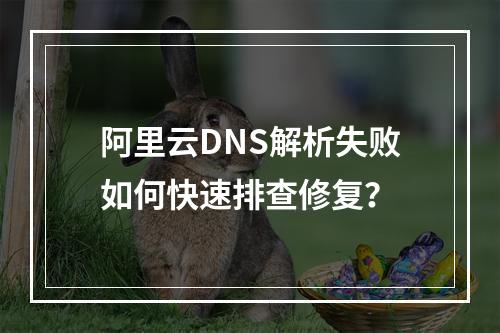 阿里云DNS解析失败如何快速排查修复？