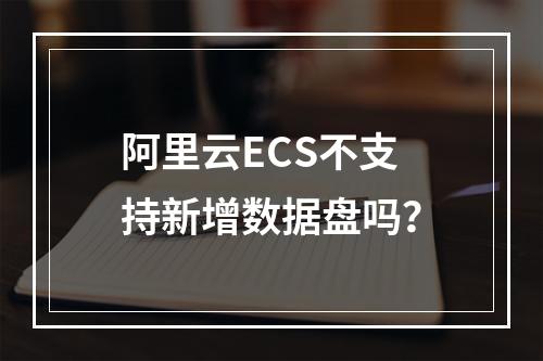 阿里云ECS不支持新增数据盘吗？
