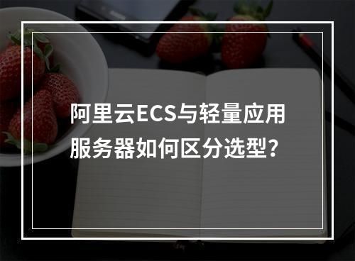 阿里云ECS与轻量应用服务器如何区分选型？