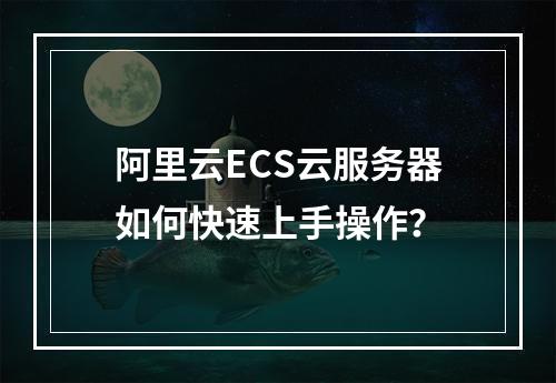 阿里云ECS云服务器如何快速上手操作？