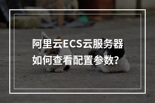 阿里云ECS云服务器如何查看配置参数？