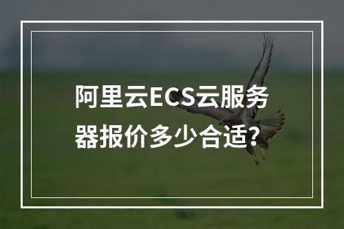 阿里云ECS云服务器报价多少合适？