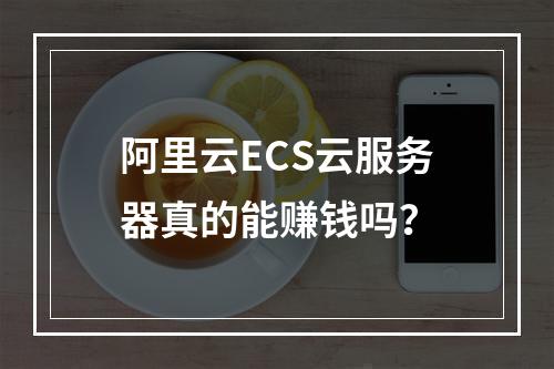 阿里云ECS云服务器真的能赚钱吗？