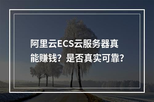 阿里云ECS云服务器真能赚钱？是否真实可靠？