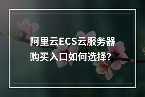 阿里云ECS云服务器购买入口如何选择？