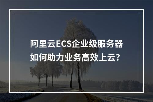 阿里云ECS企业级服务器如何助力业务高效上云？
