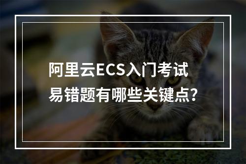 阿里云ECS入门考试易错题有哪些关键点？