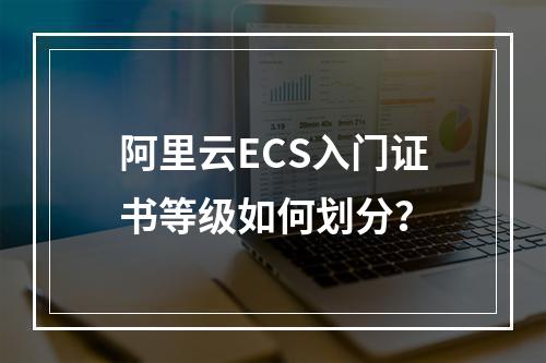 阿里云ECS入门证书等级如何划分？