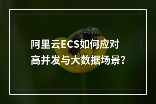 阿里云ECS如何应对高并发与大数据场景？