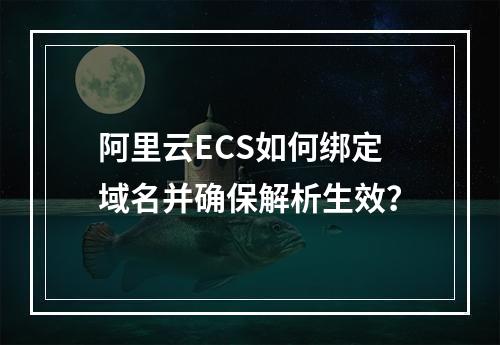 阿里云ECS如何绑定域名并确保解析生效？
