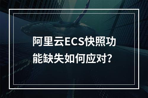 阿里云ECS快照功能缺失如何应对？