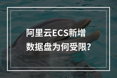 阿里云ECS新增数据盘为何受限？