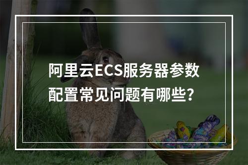 阿里云ECS服务器参数配置常见问题有哪些？