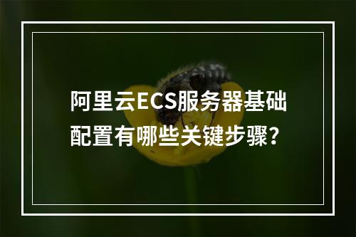 阿里云ECS服务器基础配置有哪些关键步骤？