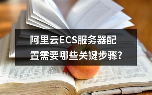 阿里云ECS服务器配置需要哪些关键步骤？