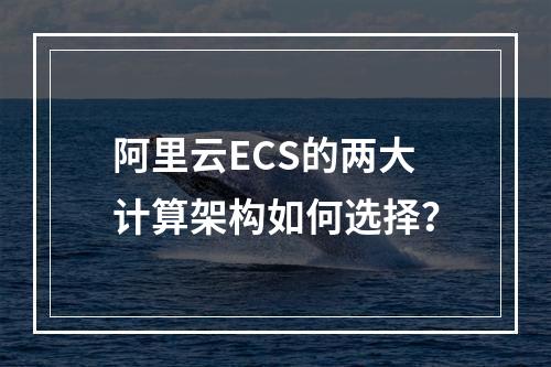 阿里云ECS的两大计算架构如何选择？