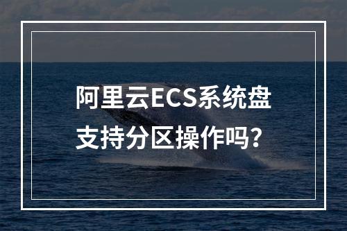 阿里云ECS系统盘支持分区操作吗？