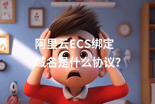 阿里云ECS绑定域名是什么协议？
