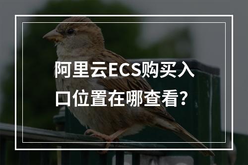 阿里云ECS购买入口位置在哪查看？