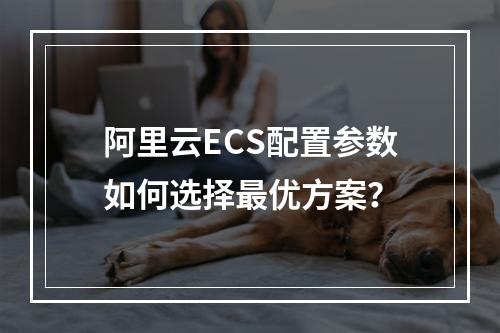 阿里云ECS配置参数如何选择最优方案？