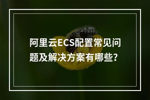 阿里云ECS配置常见问题及解决方案有哪些？