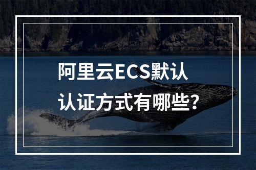 阿里云ECS默认认证方式有哪些？