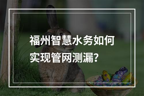 福州智慧水务如何实现管网测漏?