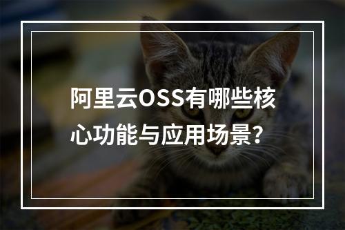 阿里云OSS有哪些核心功能与应用场景？
