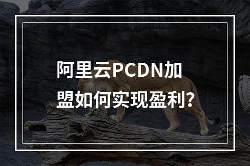 阿里云PCDN加盟如何实现盈利？