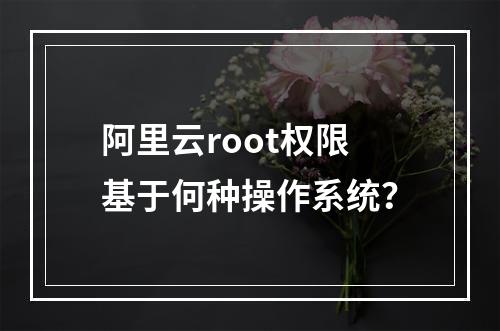 阿里云root权限基于何种操作系统？
