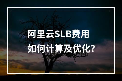 阿里云SLB费用如何计算及优化？