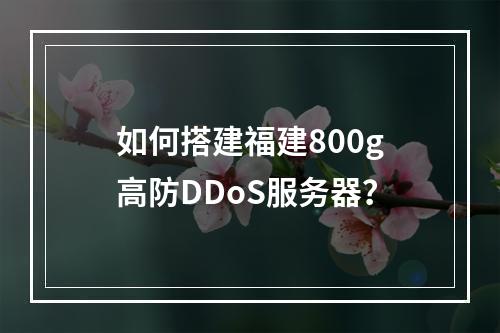 如何搭建福建800g高防DDoS服务器?
