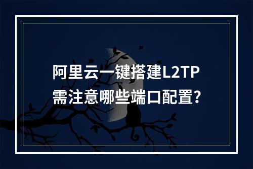 阿里云一键搭建L2TP需注意哪些端口配置？