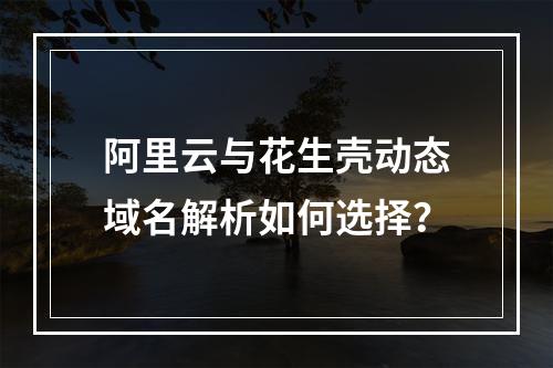 阿里云与花生壳动态域名解析如何选择？
