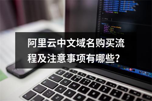 阿里云中文域名购买流程及注意事项有哪些？