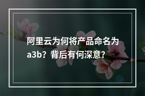 阿里云为何将产品命名为a3b？背后有何深意？